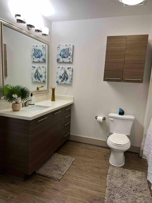 Lovely 1 Bedroom Apt Midtown Htx Houston Eksteriør bilde